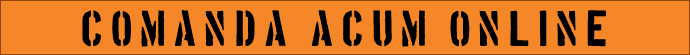 Placute de identificare, medalioane militare